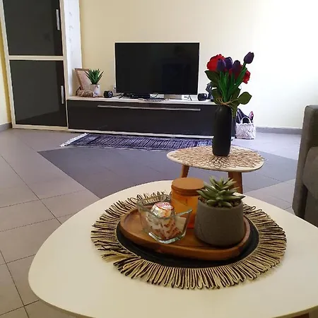 The One With Parking Lot Apartment Novi Sad